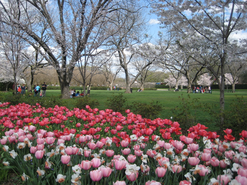 2010 03-Dallas Arboretum.jpg
